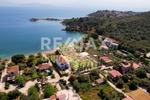 2504m² Land à Magnesia, Greece No. 28000 8