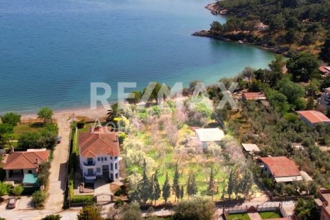 2504m² Land en Magnesia, Greece No. 28000 9