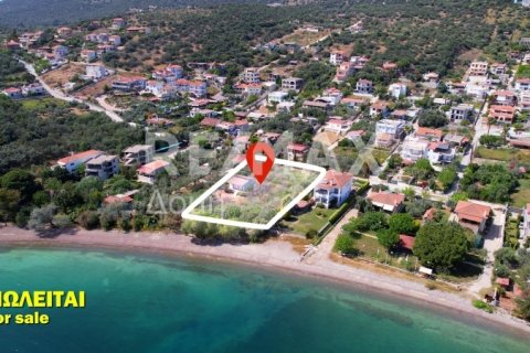 2504m² Land à Magnesia, Greece No. 28000 1