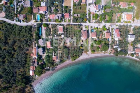 2504m² Land in Magnesia, Greece No. 28000 5