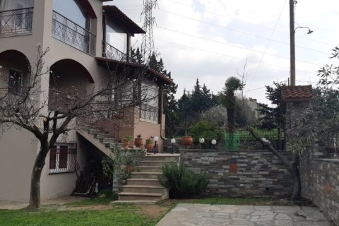 6 dormitorios House en Vasilika, Greece No. 54381 2