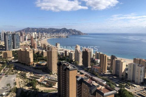 2 bedrooms Apartment in Benidorm, Spain No. 25752 9