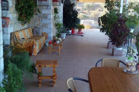 Studio Villa in Peloponnese, Greece No. 49752 11