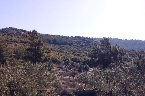 13000m² Land en Kavala, Greece No. 60481 5