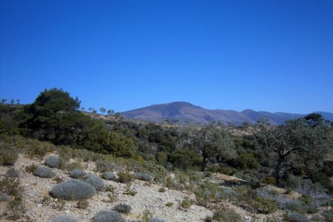 12000m² Land in Kavala, Greece No. 60490 8