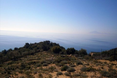 12000m² Land à Kavala, Greece No. 60490 5