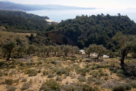 12000m² Land en Kavala, Greece No. 60490 2