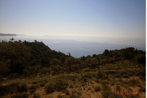 12000m² Land in Kavala, Greece No. 60490 3