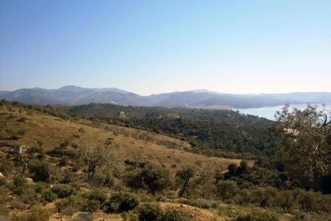 12000m² Land en Kavala, Greece No. 60490 4