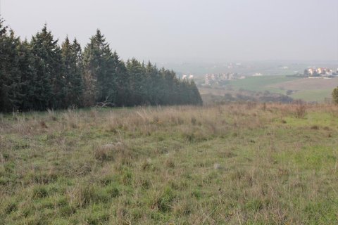 6000m² Land in Thessaloniki, Greece No. 60489 4