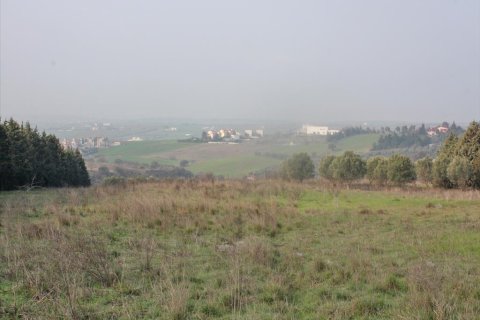 6000m² Land in Thessaloniki, Greece No. 60489 2