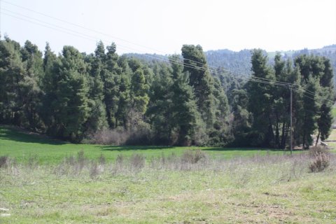 8500m² Land en Chalkidiki, Greece No. 60487 4