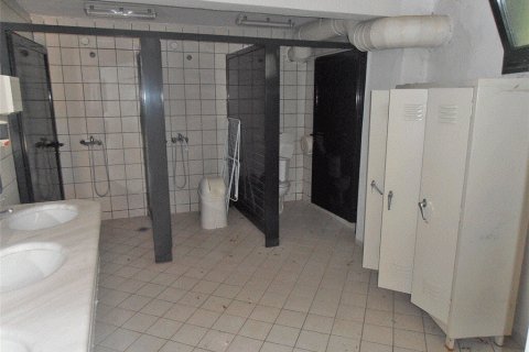 Готовый бизнес 4600м² в Пиерия, Греция №60470 16