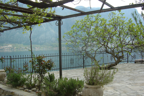 6 dormitorios House en Kotor, Montenegro No. 66893 12