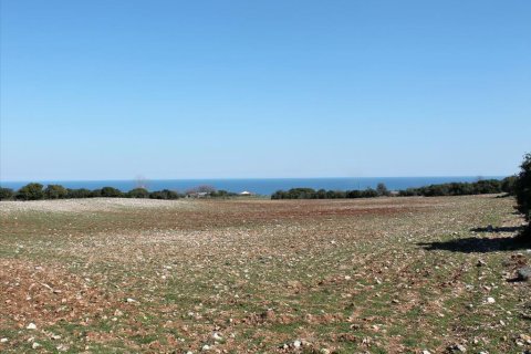 21919m² Land en Litochoro, Greece No. 59796 2