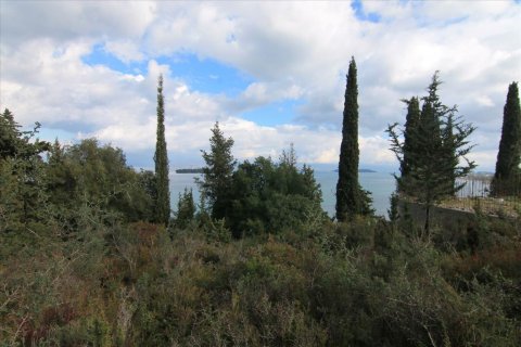 6000m² Land in Corfu, Greece No. 58355 12