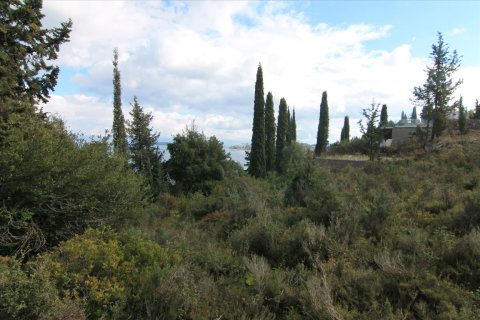 6000m² Land à Corfu, Greece No. 58355 16