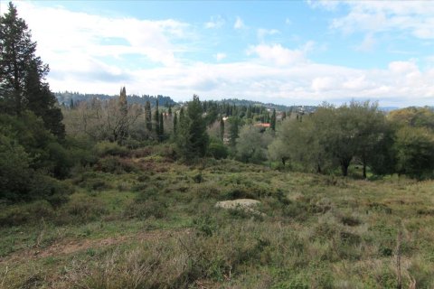 6000m² Land en Corfu, Greece No. 58355 6