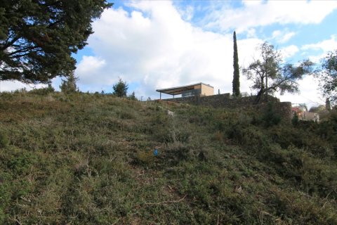 6000m² Land en Corfu, Greece No. 58355 8