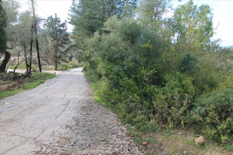 6000m² Land en Corfu, Greece No. 58355 4