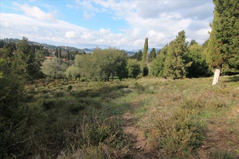 6000m² Land in Corfu, Greece No. 58355 1