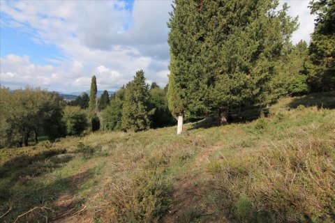 6000m² Land à Corfu, Greece No. 58355 2