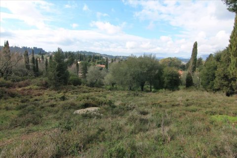 6000m² Land in Corfu, Greece No. 58355 7