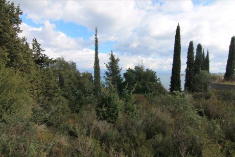 6000m² Land en Corfu, Greece No. 58355 14