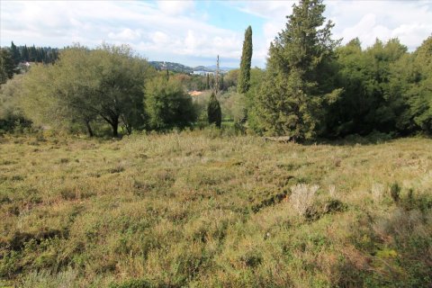 6000m² Land in Corfu, Greece No. 58355 11