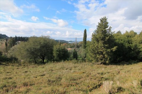 6000m² Land en Corfu, Greece No. 58355 10