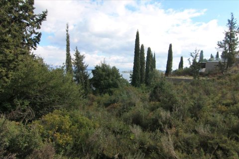 6000m² Land à Corfu, Greece No. 58355 15