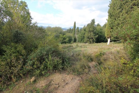 6000m² Land in Corfu, Greece No. 58355 5