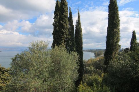 6000m² Land in Corfu, Greece No. 58355 19