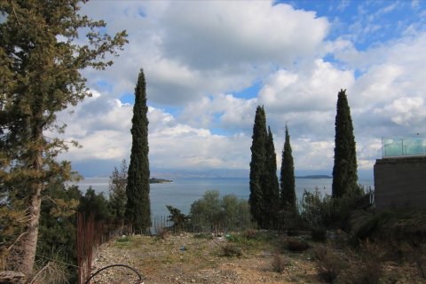 6000m² Land à Corfu, Greece No. 58355 17