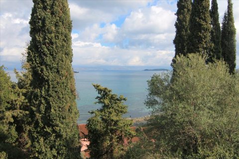 6000m² Land en Corfu, Greece No. 58355 20