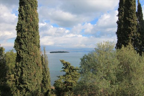 6000m² Land in Corfu, Greece No. 58355 18