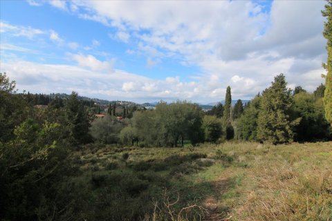 6000m² Land in Corfu, Greece No. 58355 3