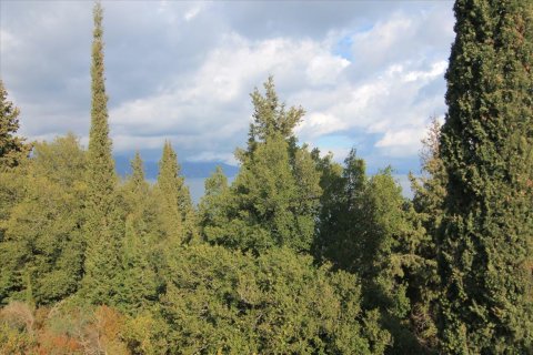 6000m² Land in Corfu, Greece No. 58355 21