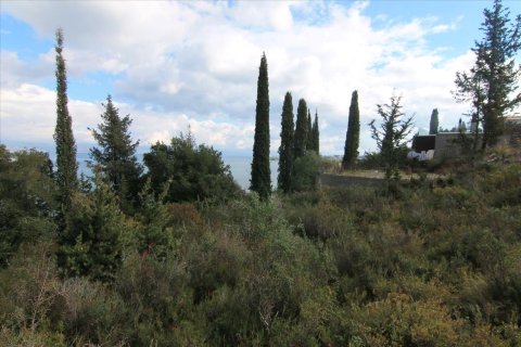 6000m² Land in Corfu, Greece No. 58355 13