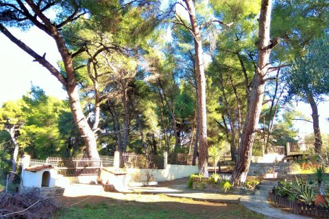 6 dormitorios Maisonette en Chalkidiki, Greece No. 58354 5