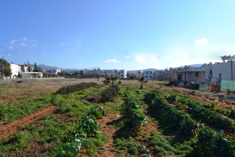 3800m² Land in Hersonissos, Greece No. 58331 4