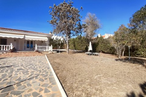 4 bedrooms Villa in Los Balcones, Spain No. 26986 18