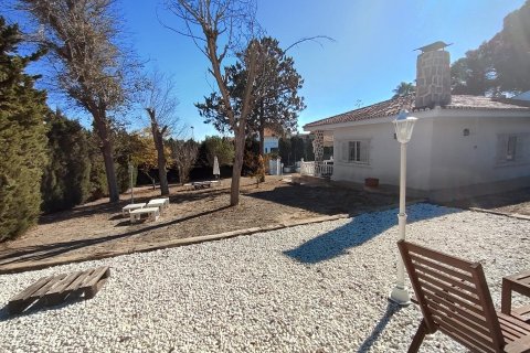 4 bedrooms Villa in Los Balcones, Spain No. 26986 28