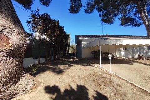 4 dormitorios Villa en Los Balcones, Spain No. 26986 12