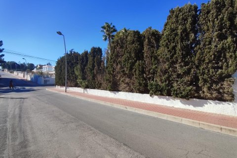 4 dormitorios Villa en Los Balcones, Spain No. 26986 22