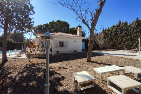 4 bedrooms Villa in Los Balcones, Spain No. 26986 7