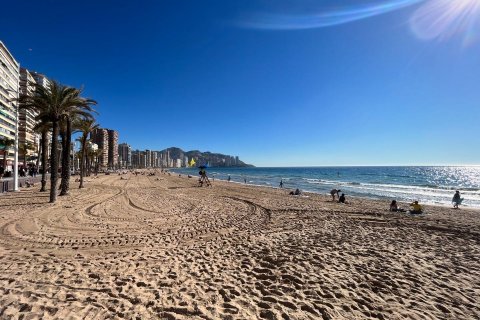 347m² Commercial property en Benidorm, Spain No. 26985 8