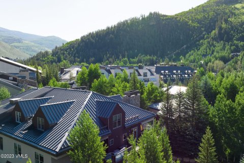 8 chambres Copropriété  à Vail, USA No. 62106 26