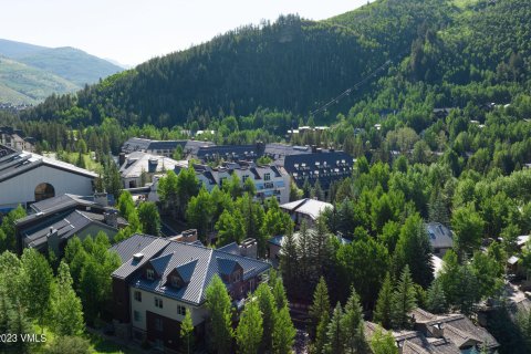 8 chambres Copropriété  à Vail, USA No. 62106 28