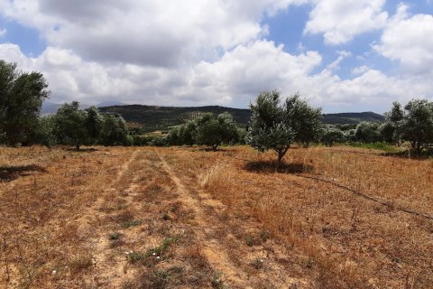 15000m² Land en Heraklion, Greece No. 56536 6